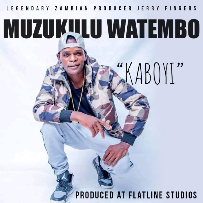 Song Cover